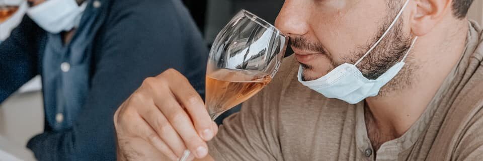 Scopriamo il Vino